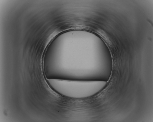 X0000091981283200709061145