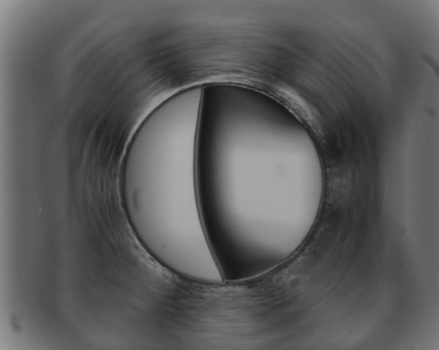 X0000091981284200709061145