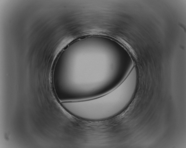 X0000091981285200709061145
