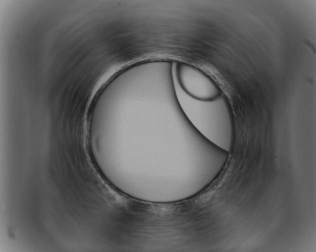 X0000091981286200709061145