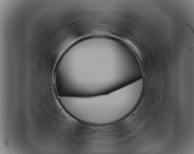 X0000091981287200709061145