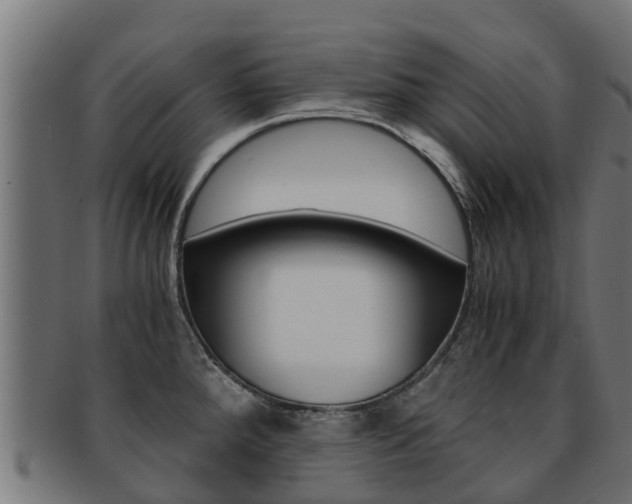 X0000091981288200709061145