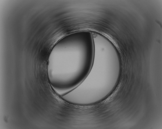 X0000091981289200709061145