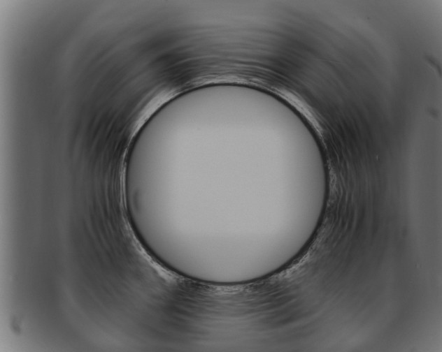 X0000091981290200709061145