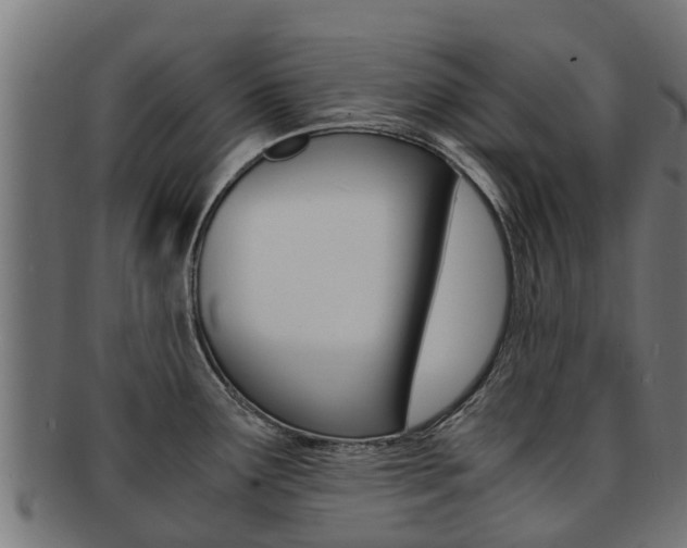 X0000091981291200709061145