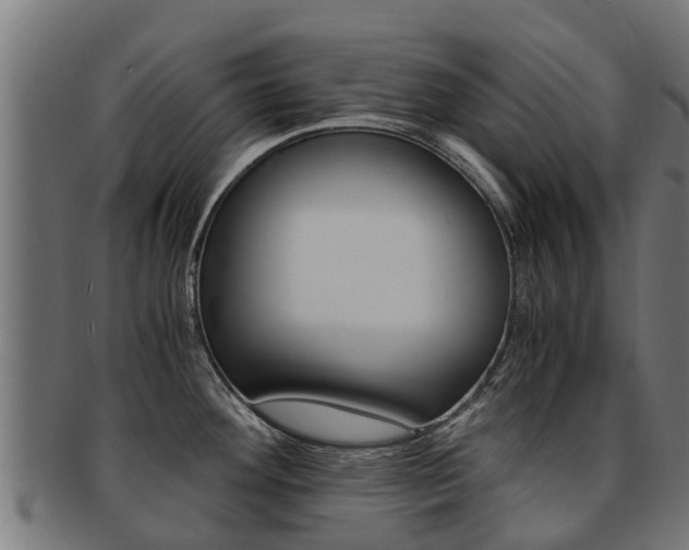 X0000091981292200709061145