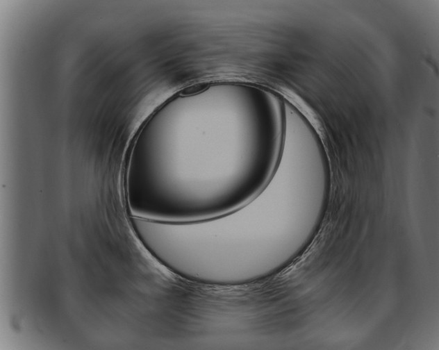 X0000091981293200709061145