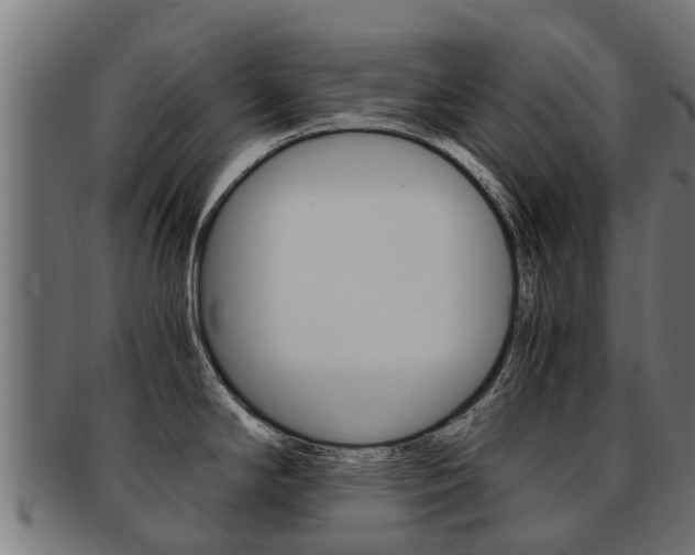 X0000091981294200709061145