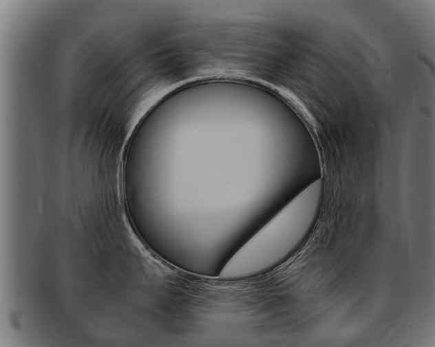 X0000091981295200709061145