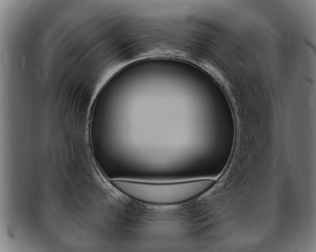 X0000091981296200709061145