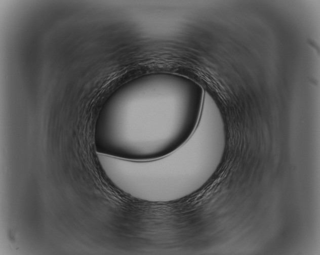 X0000091981297200709061144