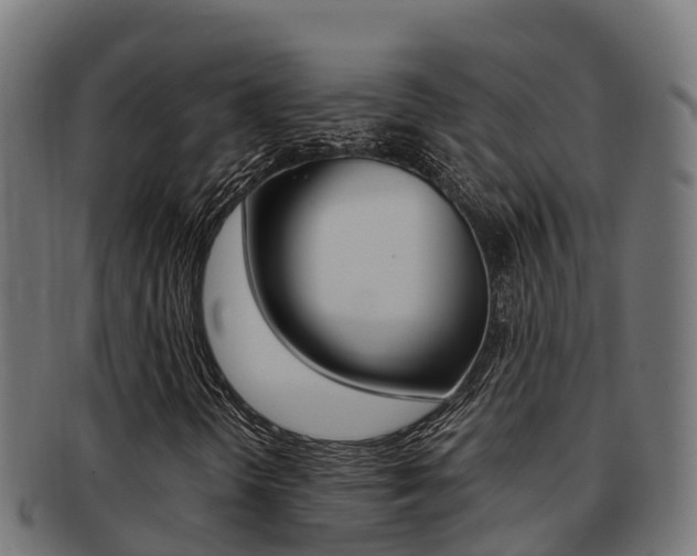 X0000091981298200709061144