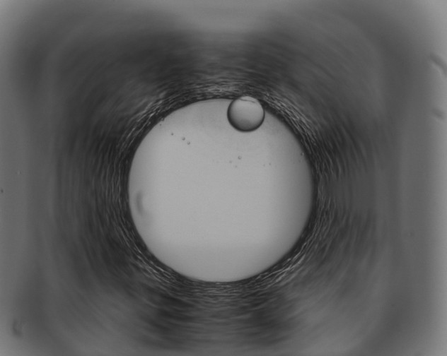 X0000091981299200709061144