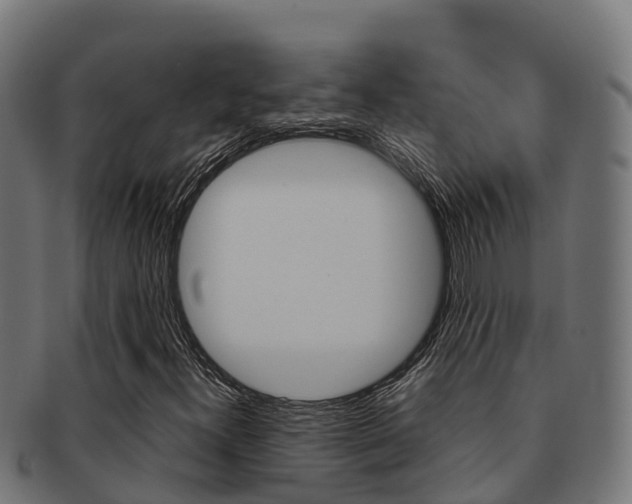 X0000091981300200709061144