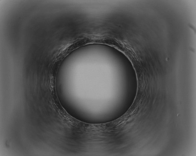 X0000091981301200709061144