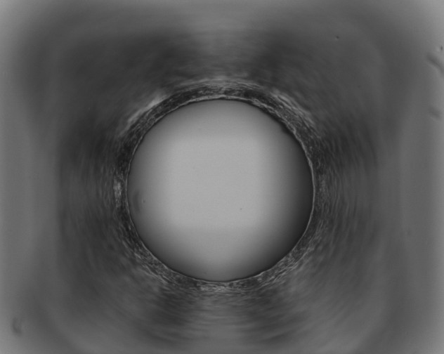 X0000091981302200709061144