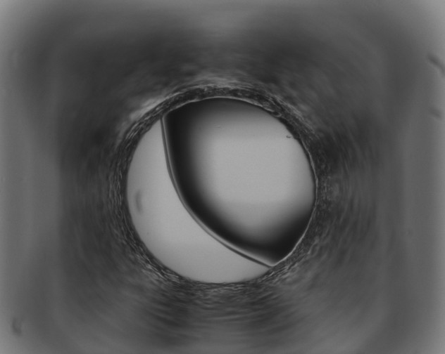 X0000091981303200709061144