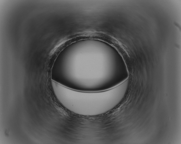 X0000091981304200709061144