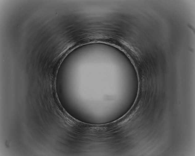 X0000091981305200709061144
