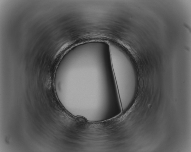 X0000091981306200709061144