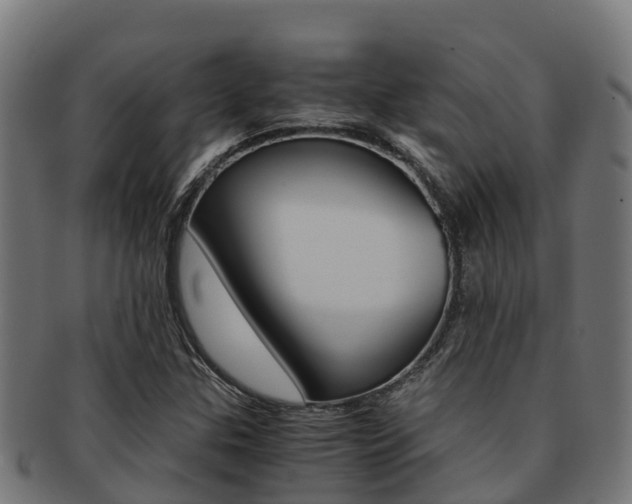 X0000091981307200709061144
