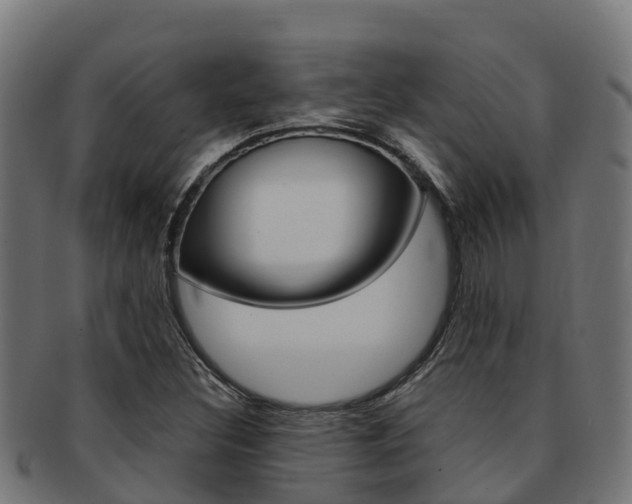 X0000091981308200709061144
