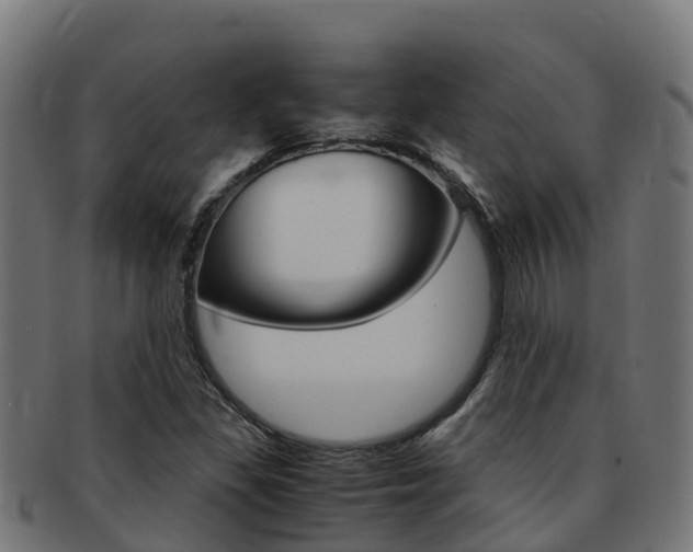 X0000091981309200709061144
