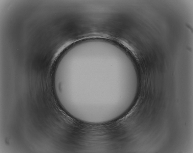 X0000091981310200709061144