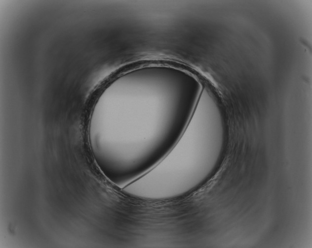 X0000091981311200709061144