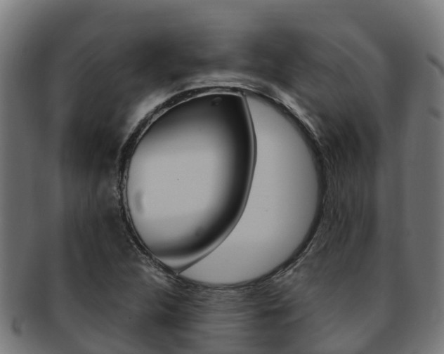 X0000091981312200709061144