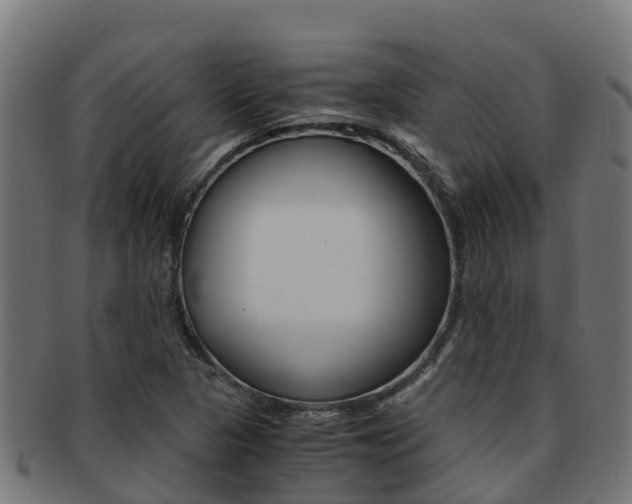 X0000091981313200709061144