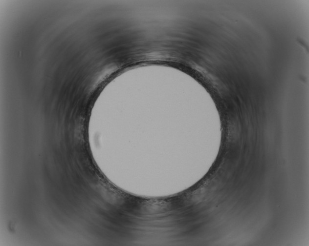X0000091981314200709061144