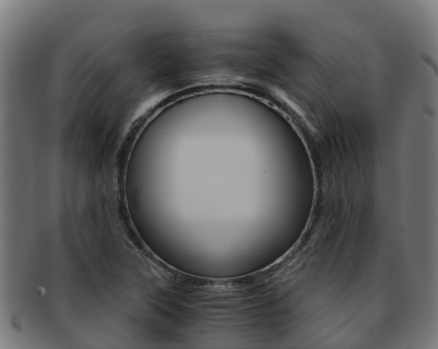 X0000091981315200709061144
