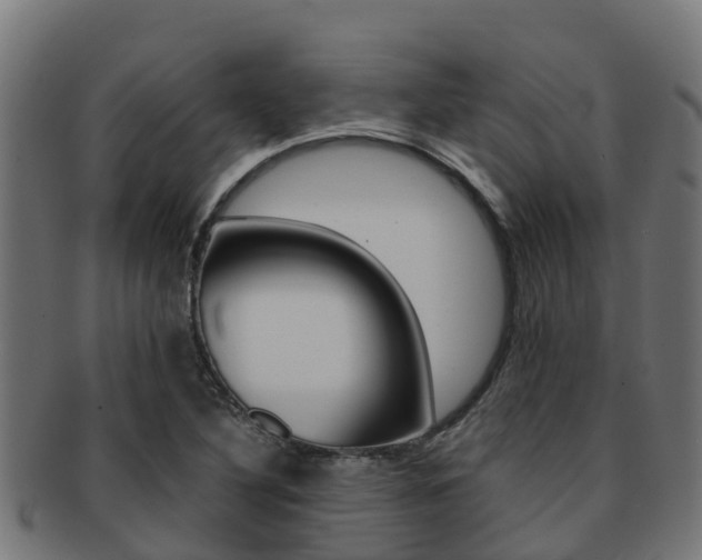 X0000091981316200709061144