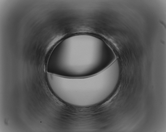 X0000091981317200709061144