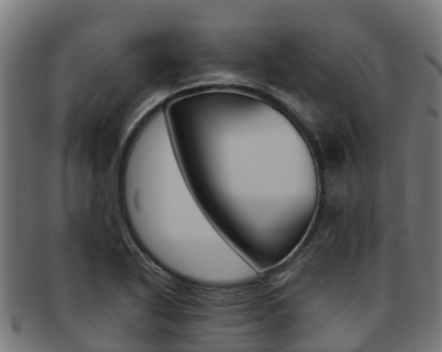 X0000091981318200709061144