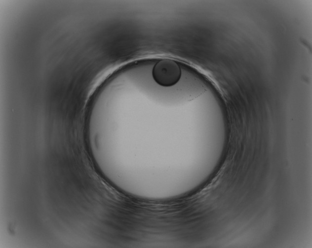 X0000091981319200709061144