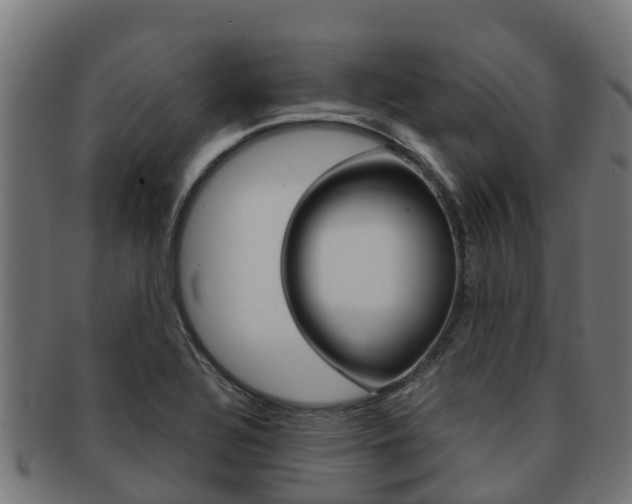 X0000091981320200709061144