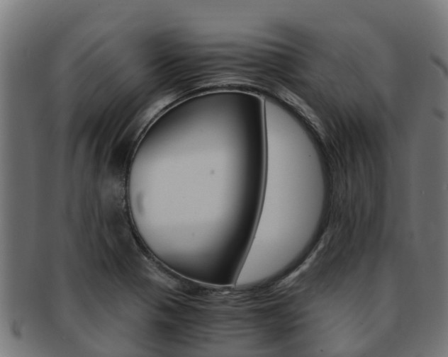 X0000091981321200709061144