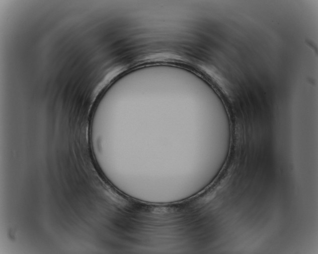 X0000091981322200709061144
