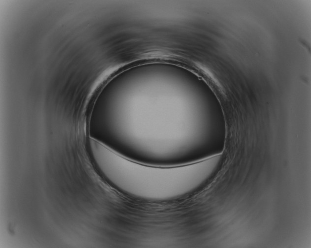 X0000091981323200709061144