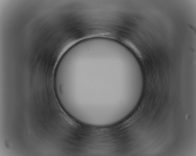 X0000091981324200709061144