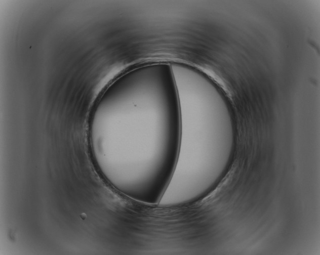 X0000091981325200709061144