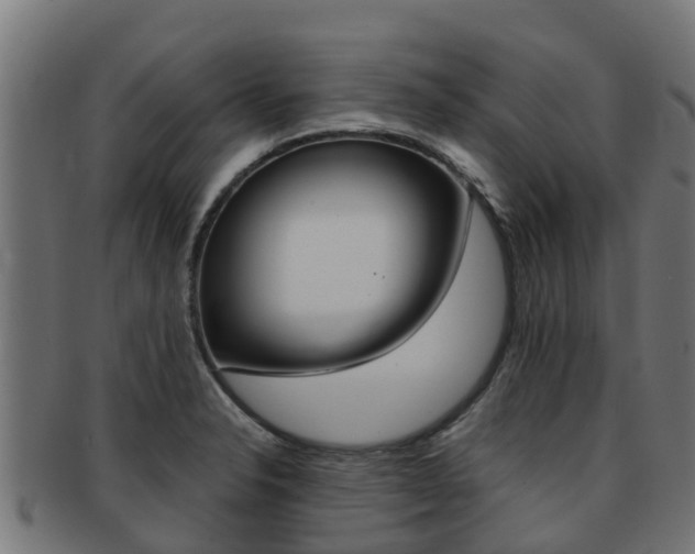 X0000091981326200709061145