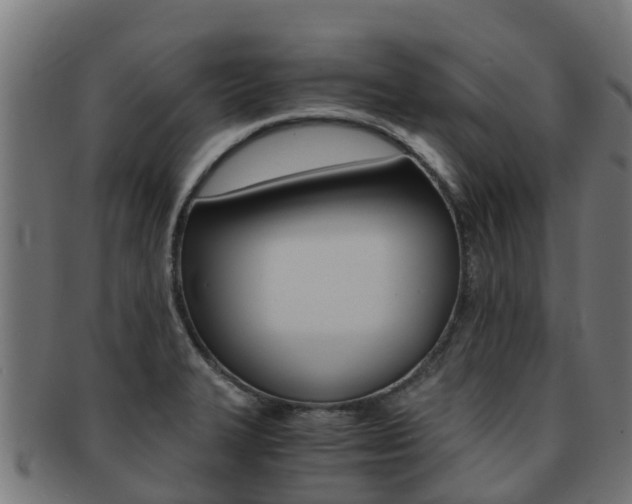 X0000091981327200709061145