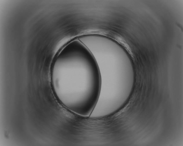 X0000091981328200709061145
