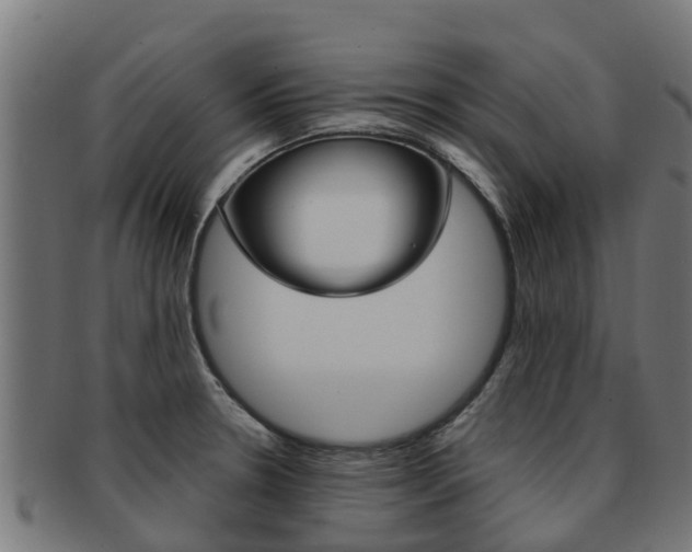 X0000091981330200709061145