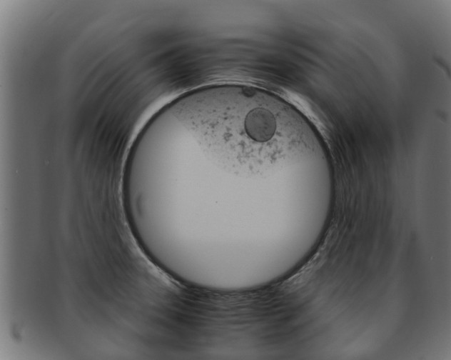 X0000091981331200709061145