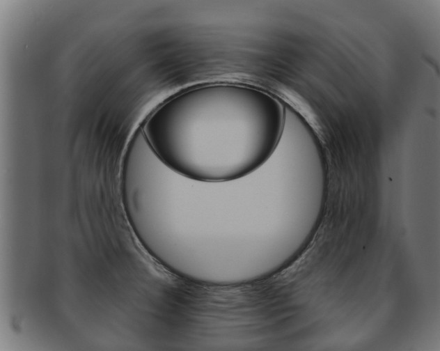 X0000091981332200709061145