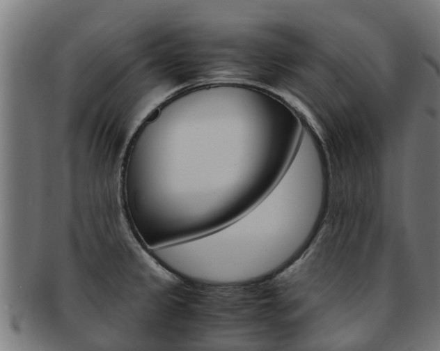 X0000091981333200709061145